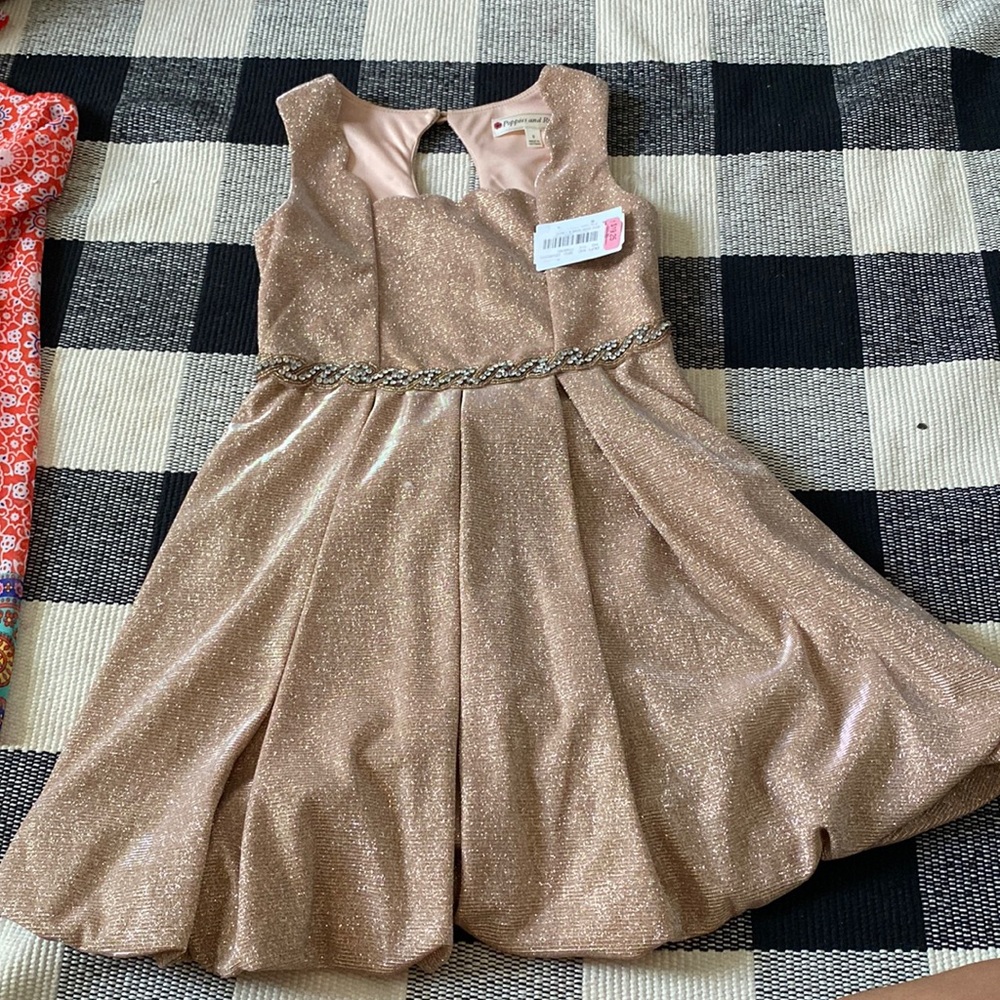 Poppies and Roses Dress